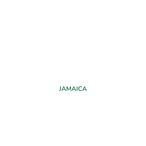 Customs Broker Jamaica